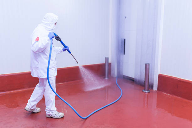 Pre-Holiday Cleaning in Mayville, NY